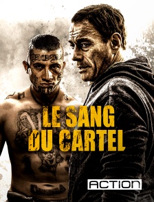ACTION - Le Sang du Cartel
