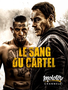 Molotov channels - Le Sang du Cartel