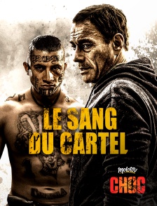 Molotov Channels CHOC - Le Sang du Cartel