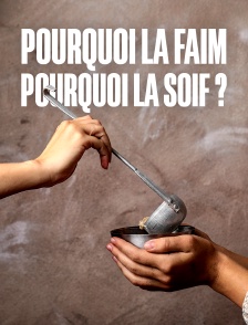 Pourquoi la faim, pourquoi la soif ?