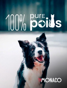 TV Monaco - 100% Pure poils en replay