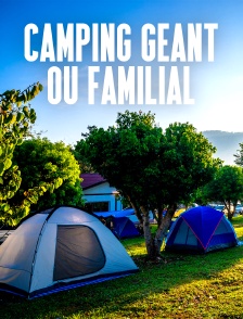 Camping géant ou familial : à chacun son camping !