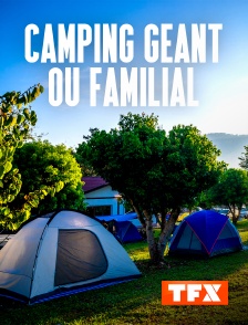 TFX - Camping géant ou familial : à chacun son camping !