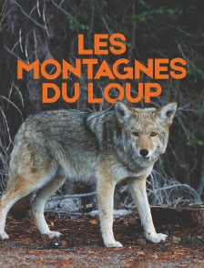 Les montagnes du loup