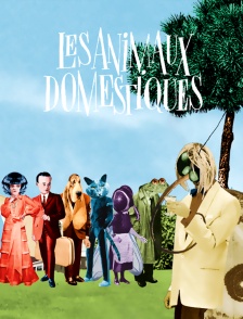 Les animaux domestiques