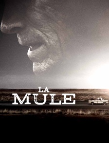 La mule