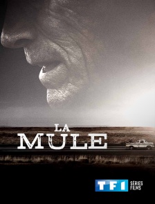 TF1 Séries Films - La mule