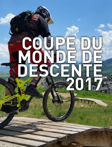 Coupe du monde de descente 2017