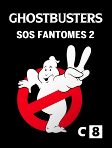 C8 - S.O.S. Fantômes 2