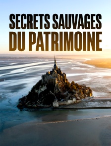 Secrets sauvages du patrimoine