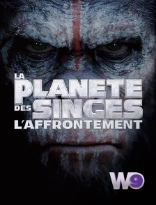W9 - La planète des singes : l'affrontement