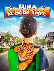 Luna le bébé tigre