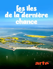 Arte - Les îles de la dernière chance : Une action de sauvetage aux Pays-Bas