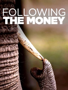 Following the money