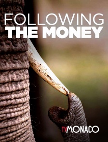 TV Monaco - Following the money
