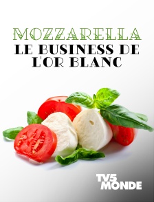 TV5MONDE - Mozzarella, le business de l'or blanc