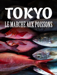 Tokyo, il était une fois le marché aux poissons