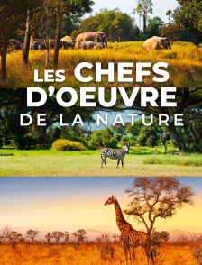 Les chefs-d'œuvre de la nature