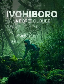 Ivohiboro, la forêt oubliée