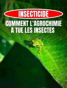 Insecticide, comment l'agrochimie a tué les insectes