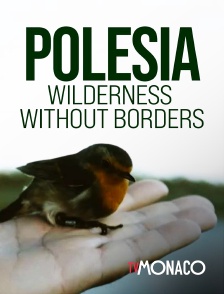 TV Monaco - Polesia - Wilderness without borders