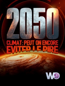 W9 - 2050, climat : peut-on encore éviter le pire ?