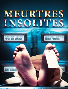Meurtres insolites