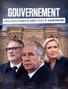 Gouvernement, les coulisses d'une chute annoncée