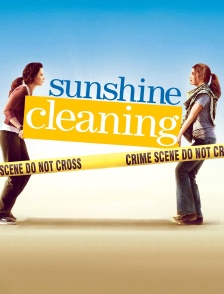 Sunshine Cleaning