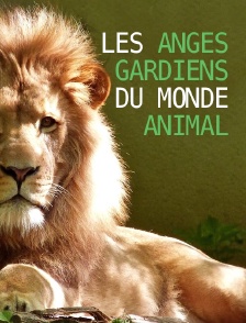 Les anges gardiens du monde animal