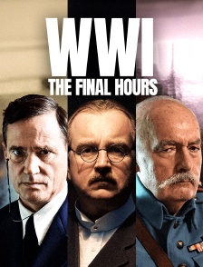 WW1: The Final Hours