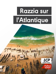 LCP Public Sénat - Razzia sur l'Atlantique
