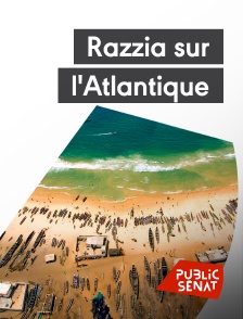 Public Sénat - Razzia sur l'Atlantique