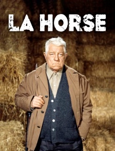 La horse