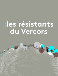 Les résistants du Vercors