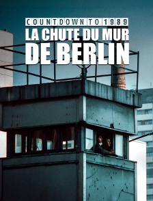 La chute du mur de Berlin