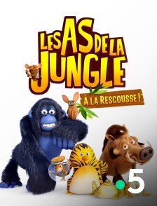 France 5 - Les as de la jungle : à la rescousse !