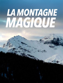 "La Montagne magique" : Thomas Mann et son roman emblématique