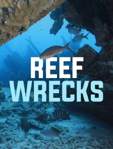 Epaves de récifs