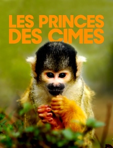 Les princes des cimes