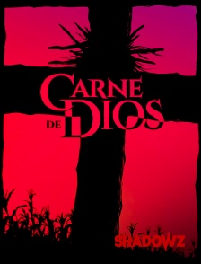 Shadowz - Carne de Dios
