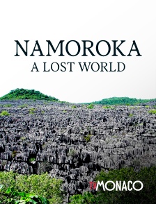Namoroka : Un monde perdu