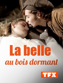 TFX - La belle au bois dormant
