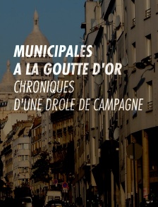 Municipales à la Goutte d'Or, chroniques d'une drôle de campagne