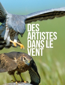 Des artistes dans le vent