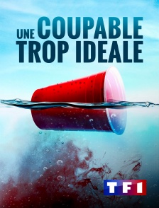 TF1 - Une coupable trop idéale