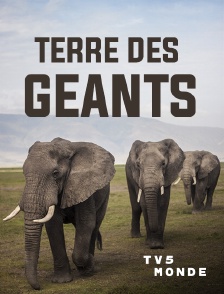 TV5MONDE - Terre des géants