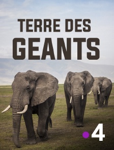 Terre des géants