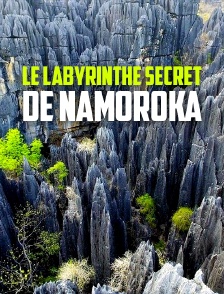 Le Labyrinthe secret de Namoroka