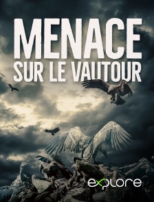 EXPLORE - Menace sur le vautour